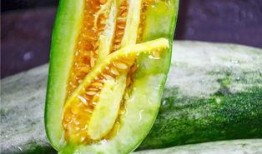 康县网红 吃瓜,揭秘网络热点的背后故事